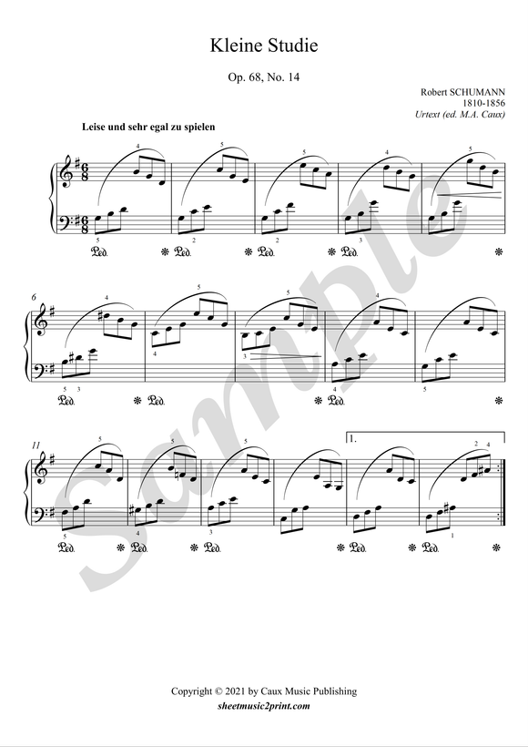 Schumann : Kleine Studie, op. 68, no. 14
