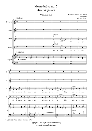Messe brève no. 7 Aux chapelles - V : Agnus Dei