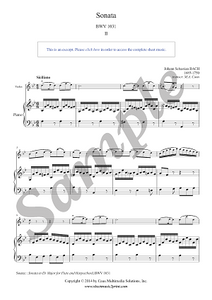 Bach : Siciliano BWV 1031 - Violin