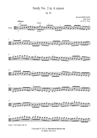Study in A minor, Op. 86, No. 2